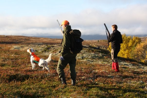 1583_110880850084_6887_n